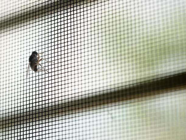 Grey Fibre Glass Mosquito Screen 4 Feet Wide . Excellent choice for Insect Proofing Kitchens, Homes, Businesses, Porches and Many other Areas, Sold Per Yard (3 Feet )- 14786 Grey Fibre Glass Mosquito Screen 4 Feet Wide . Excellent choice for Insect Proofing Kitchens, Homes, Businesses, Porches and Many other Areas, Sold Per Yard (3 Feet )- 14786